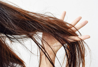 髪の乾燥が気になったら ヘアミルクとオイルのダブル使いケア Domani