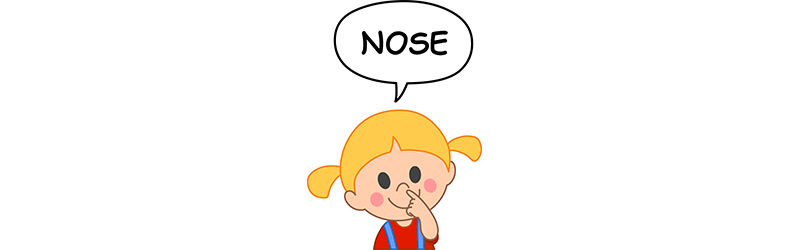 高い鼻に見えるポイントは「鼻筋」