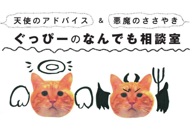 教えて ぐっぴー 子どもがおもちゃを片づけるようになるいい方法は Domani