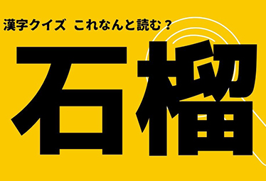 石榴 この漢字なんと読む ヒントは赤くて酸味のあるあの果物 Domani 石榴 この漢字なんと読む ヒントは赤くて酸味のあるあの果物 Domani