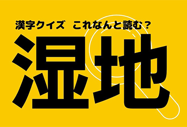 湿地 しっち 以外の読み方知ってる ヒントはいろいろな料理に使われるあの食材 Domani