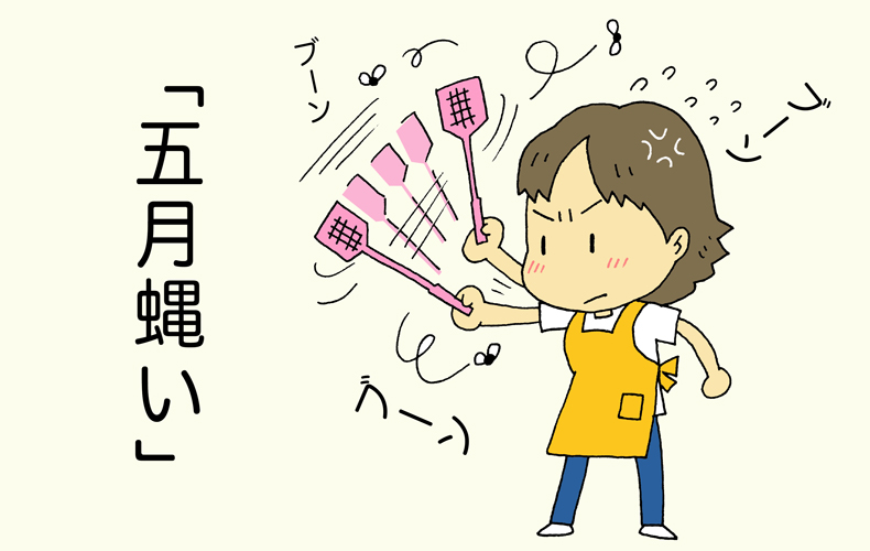 五月蝿い の漢字の由来は 五月 の 蝿 ハエ 3つの意味と英語表現を解説 Domani