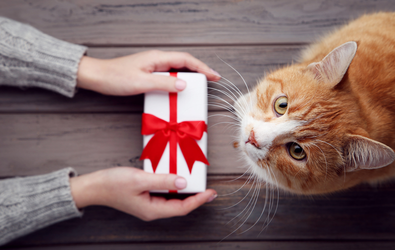 ネコ好き 猫　ネコ好きに贈りたいプレゼント6選