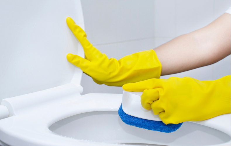 トイレ掃除を楽にするおすすめの道具【11選】理想の掃除頻度も紹介 | Domani