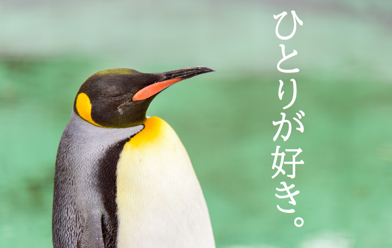 100人に聞いた ひとりが好きな人にみられる特徴とは そんな人との上手な付き合い方も紹介 Domani