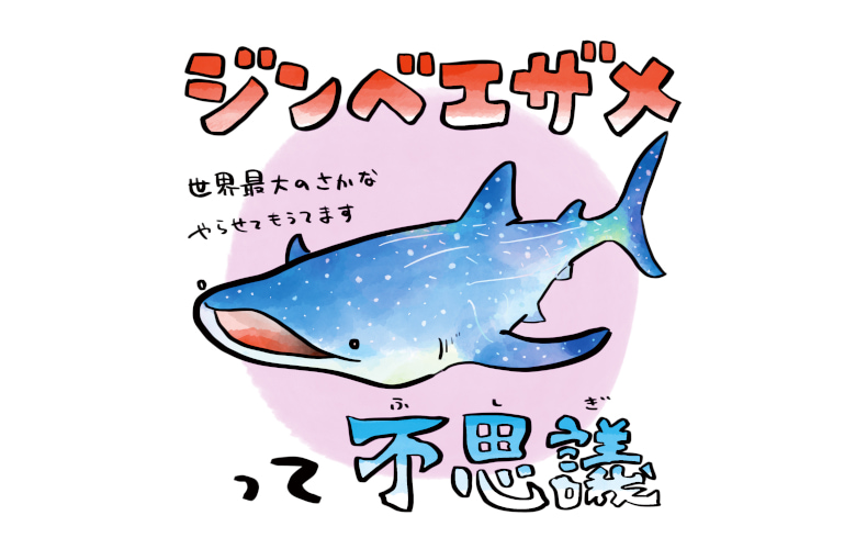 ジンベエザメの目には3000本の歯が生えている おもしろすぎる海の仲間たち Part2 ツッコミたくなるおさかな図鑑 Domani