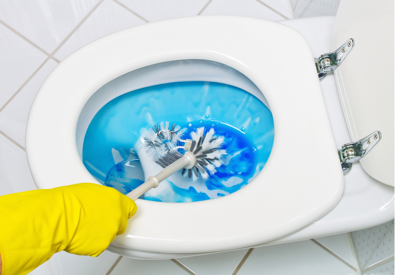 トイレ 尿石 掃除 取り方 方法 原因 理由 なぜ      