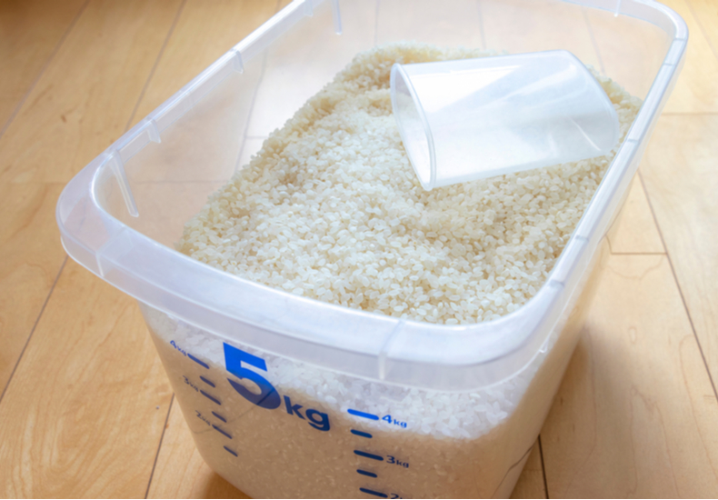 米びつ おすすめ 人気 選び方 プラスチック            