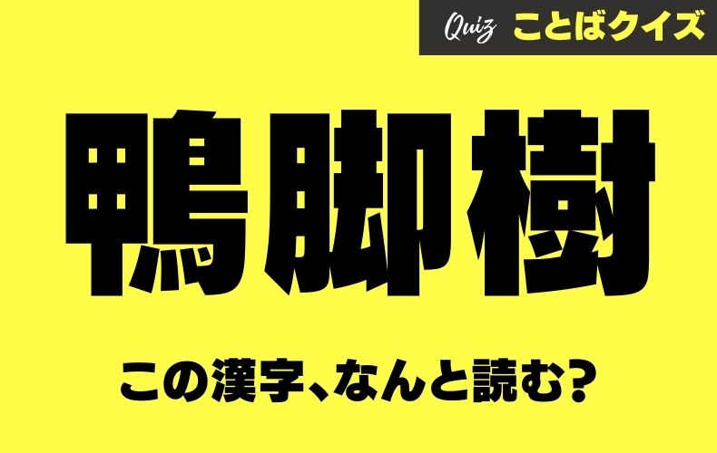 鴨脚樹 この漢字なんと読む ヒントは日本でも街路樹やシンボルとして大活躍するアレです Domani 鴨脚樹 とは秋を感じるあの木の名前 日本でも街路樹やシンボルとして大活躍