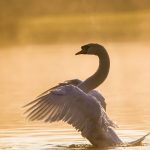 立つ鳥、跡を濁さず