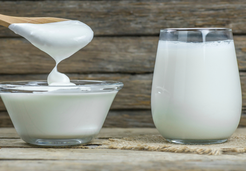 ヨーグルト　乳製品　牛乳　ヨーグルトメーカー魅力選び方ポイントおすすめ牛乳パックタイプ専用容器タイプコンパクトタイプヨーグルト以外