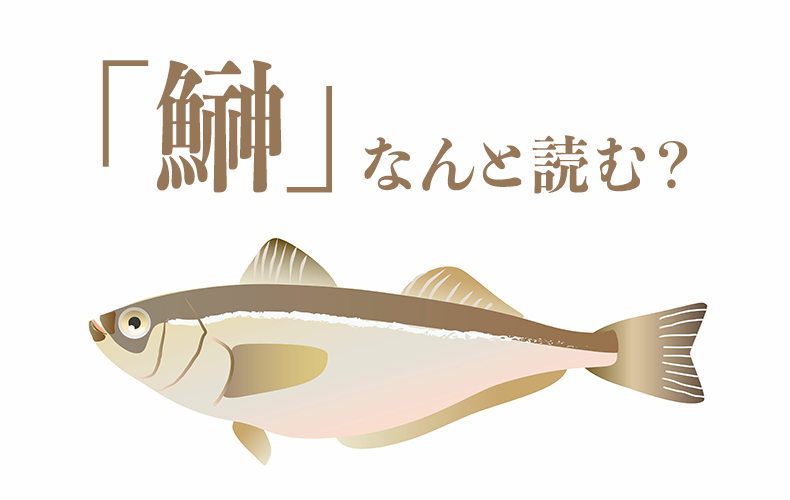 鰰 ってどんな魚 意味や漢字の由来 旬の時期 料理レシピを紹介 Domani