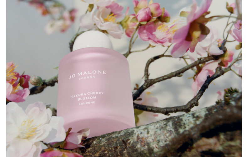 限定 ジョー マローン ロンドン 桜の香りコロンに注目 Domani