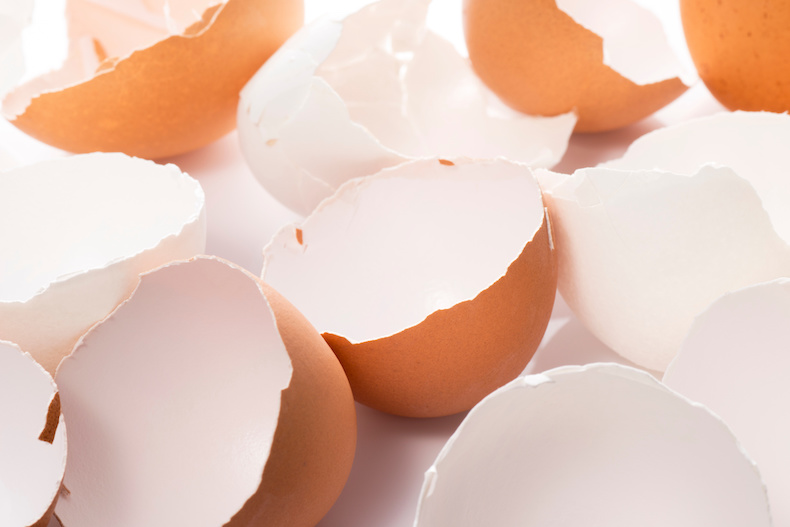 卵の殻 活用法 リサイクル 再利用 キッチン 鍋 茶渋 焦げ落とし