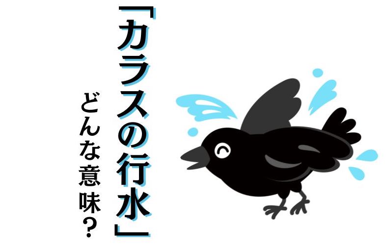 使うシーンに注意 カラスの行水 の正しい意味とは 由来や使い方も解説 Domani