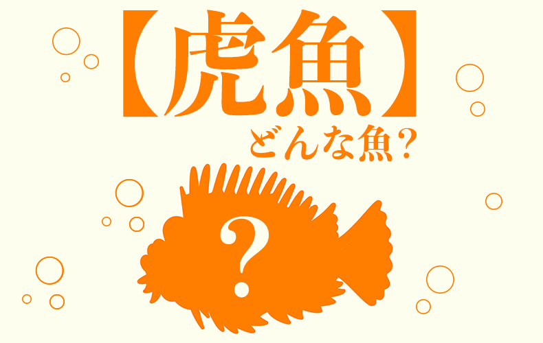 虎魚 の読み方は どんな魚 その生態や名前の由来について解説 Domani