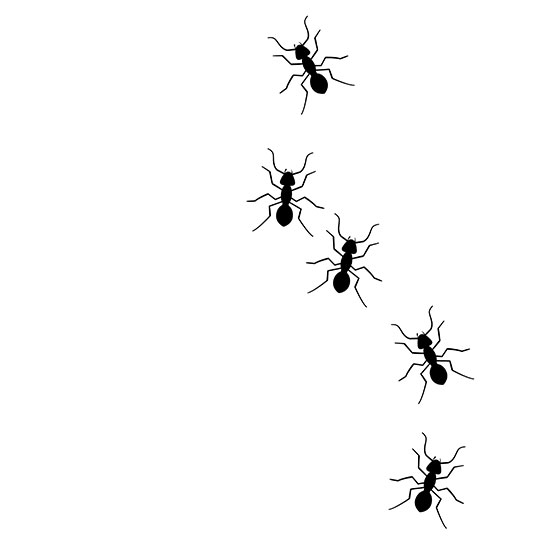 蟻の行列のイラスト。「蟷螂の斧」の類語・「竜の鬚を蟻が狙う」のイメージ