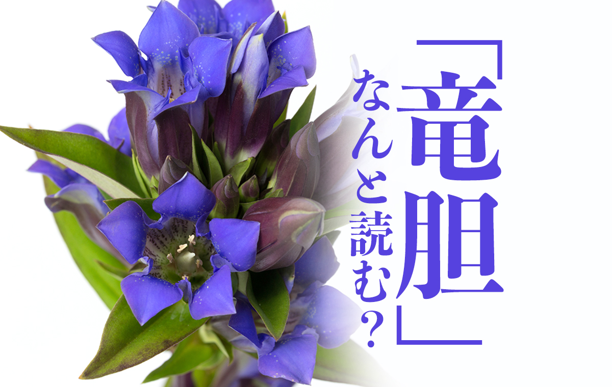 秋に咲く青紫色の花 竜胆 なんと読む 漢字の由来や花言葉 豆知識を解説 Domani