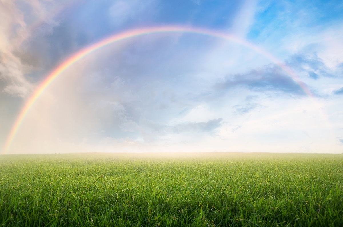 晴れた空にかかる虹、草原
