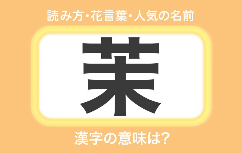 茉 の意味とは ジャスミンの花言葉や 茉 を使った名前を紹介 Domani