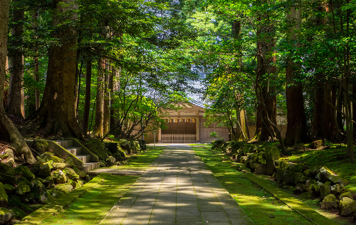 神社の参道