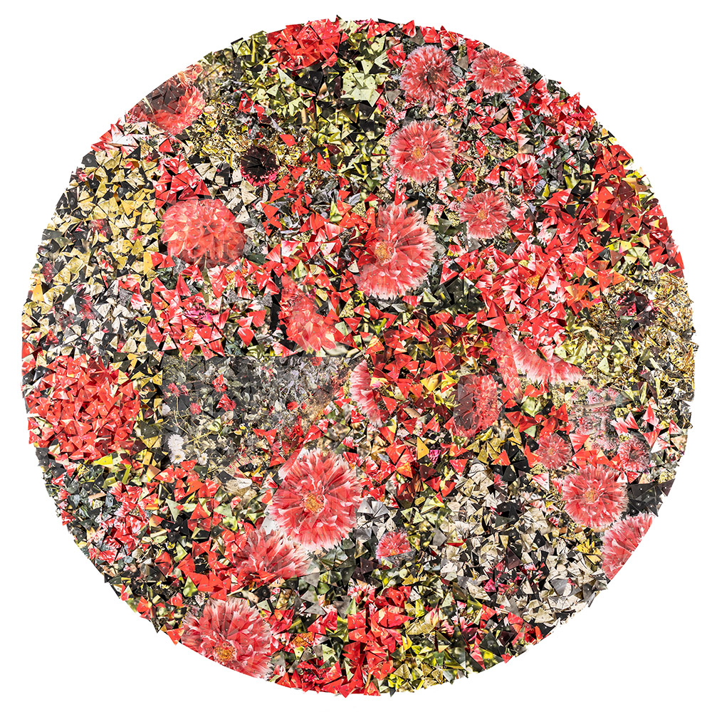 写真の断片が円形に並べられ、地面や赤い花のようなものが浮かび上がる作品の写真