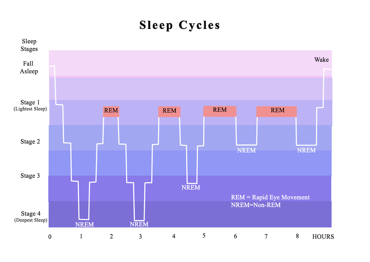 覚醒状態と4段階の睡眠状態をベースにした睡眠サイクルのイメージ図、レム睡眠とノンレム睡眠