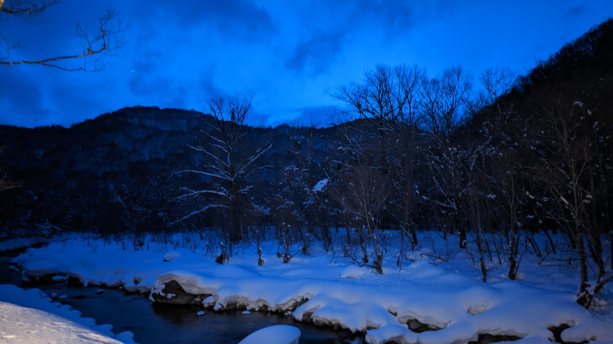 夜の雪景色