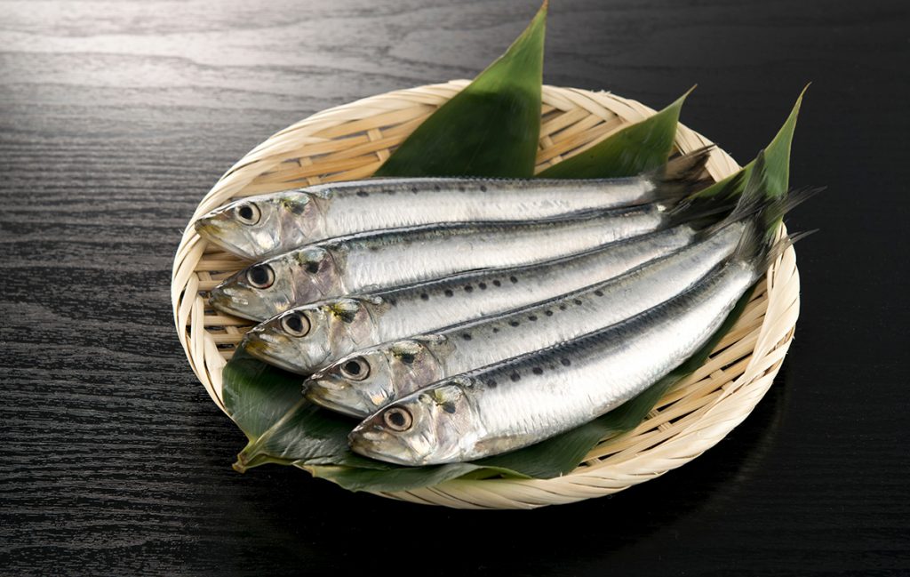 「鰯」はどんな魚?|種類や選び方、節分に柊と飾る意味など | Domani