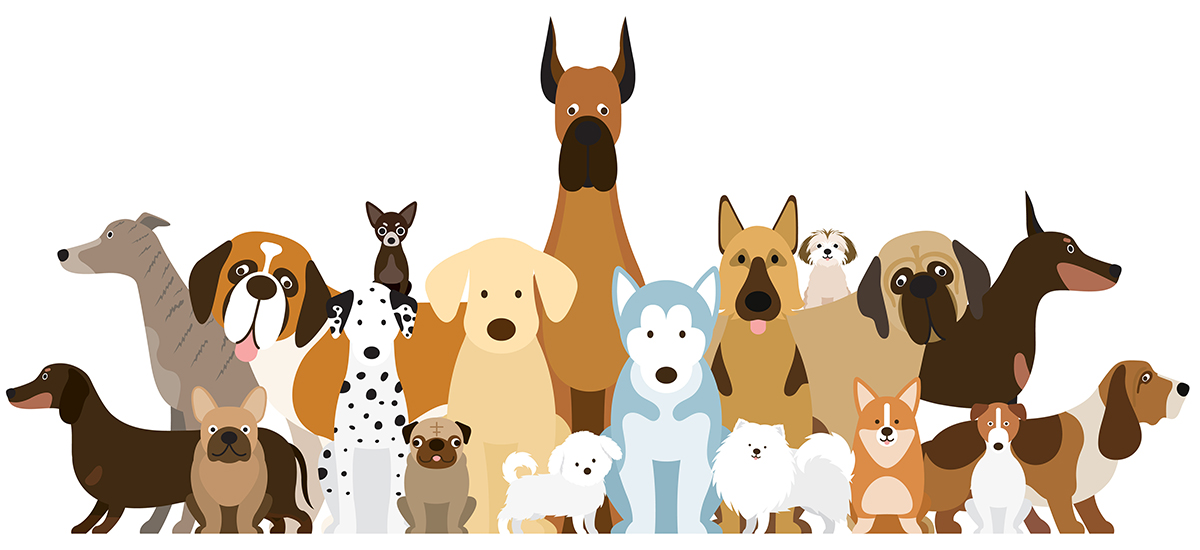 様々な種類の犬が集まっている様子 イラスト