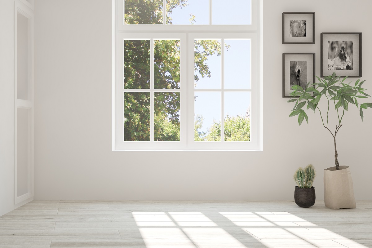 窓際の写真　白い壁と床の部屋に白い枠の窓から光が差し込み、観葉植物やモノクロのポスターが飾られている