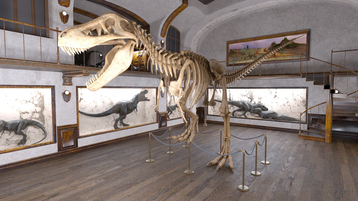 恐竜博物館の恐竜の化石などが並ぶフロア内部のイメージ