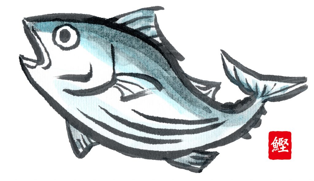 「鰹」ってどんな魚?読み方、言葉の由来、特徴、この漢字の関連語などを解説 | Domani