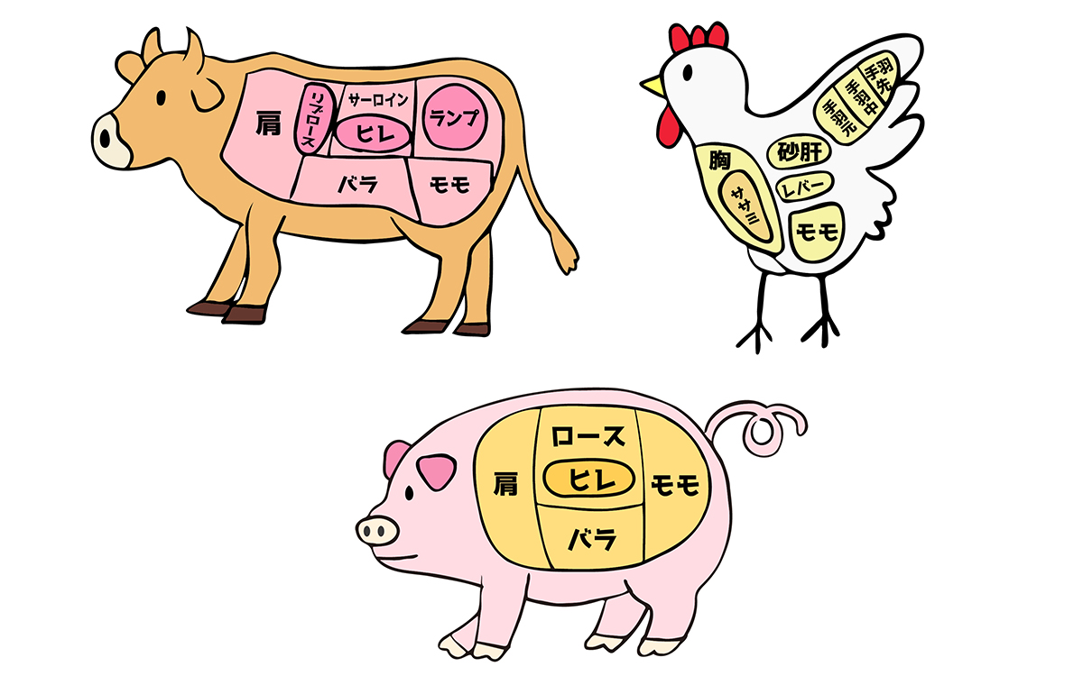 牛、鶏、豚の肉のイメージイラスト　それぞれの動物の絵に部位が示されている
