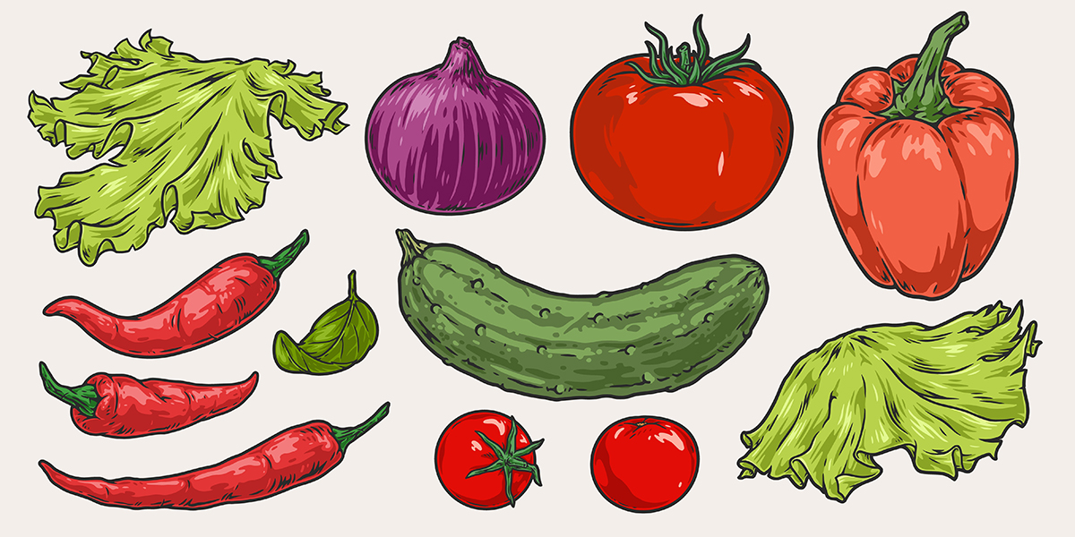 さまざまな野菜のイメージイラスト