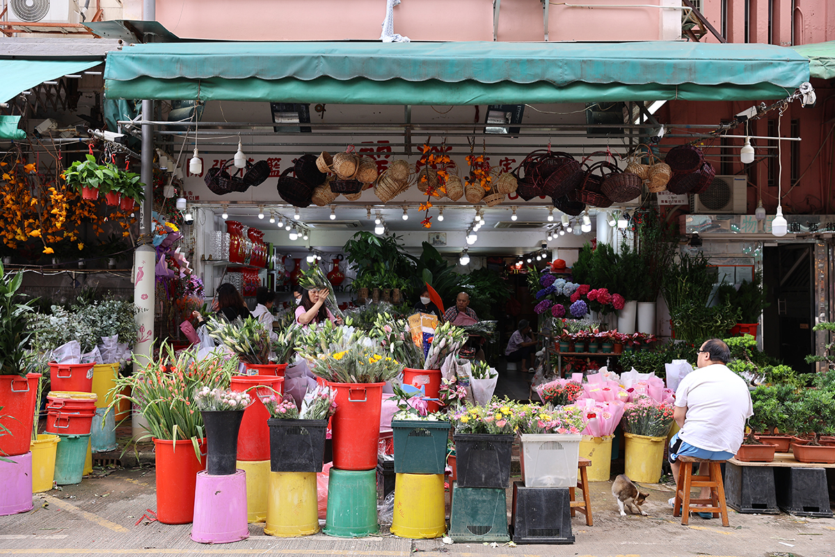 様々な花が並ぶフラワーマーケット