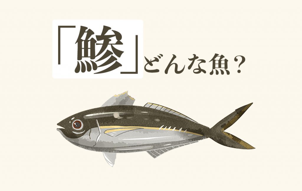 鯵種類見分け方, アジの種類と特徴 – GHKXEW