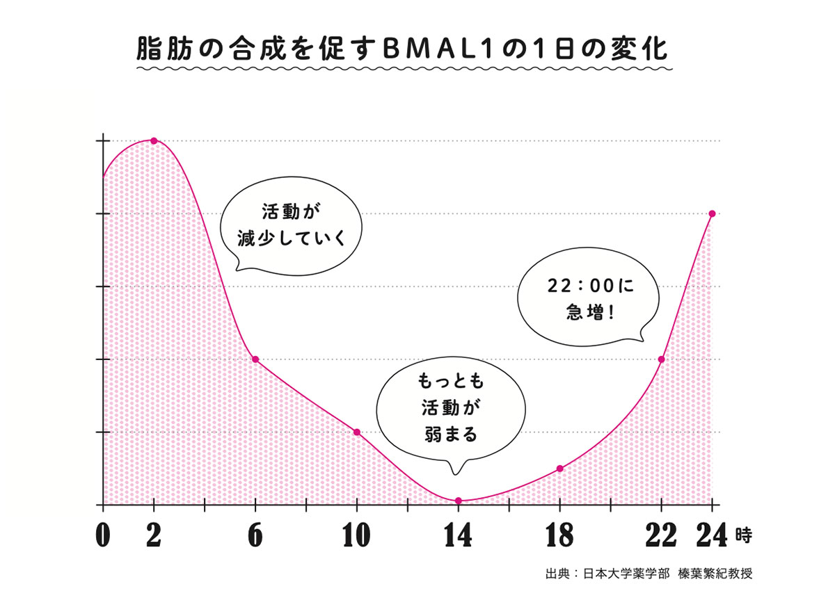 脂肪の合成を促すBMAL1の1日の変化を示したグラフ