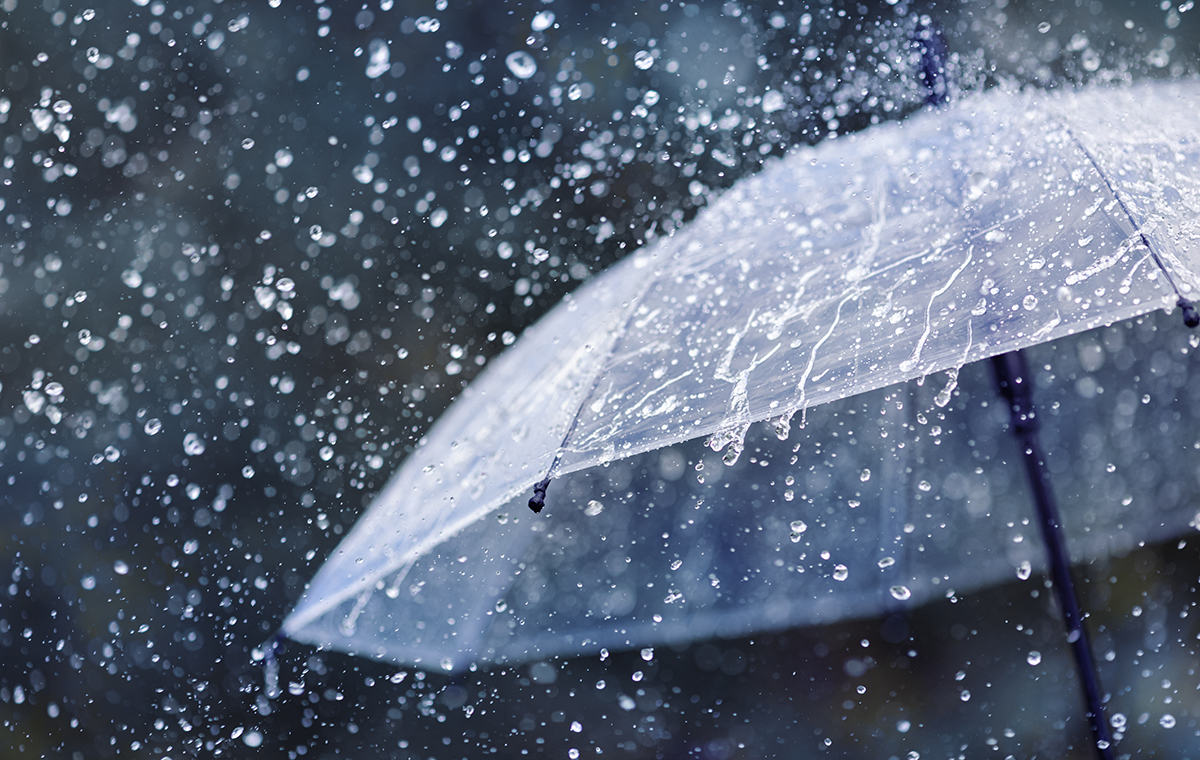 ビニール傘と大粒の雨
