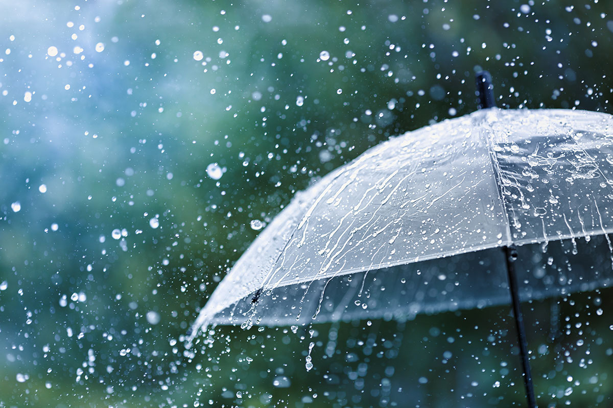 雨の日のビニール傘