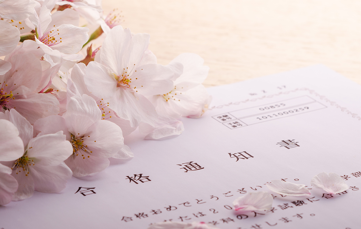 合格通知と桜の花