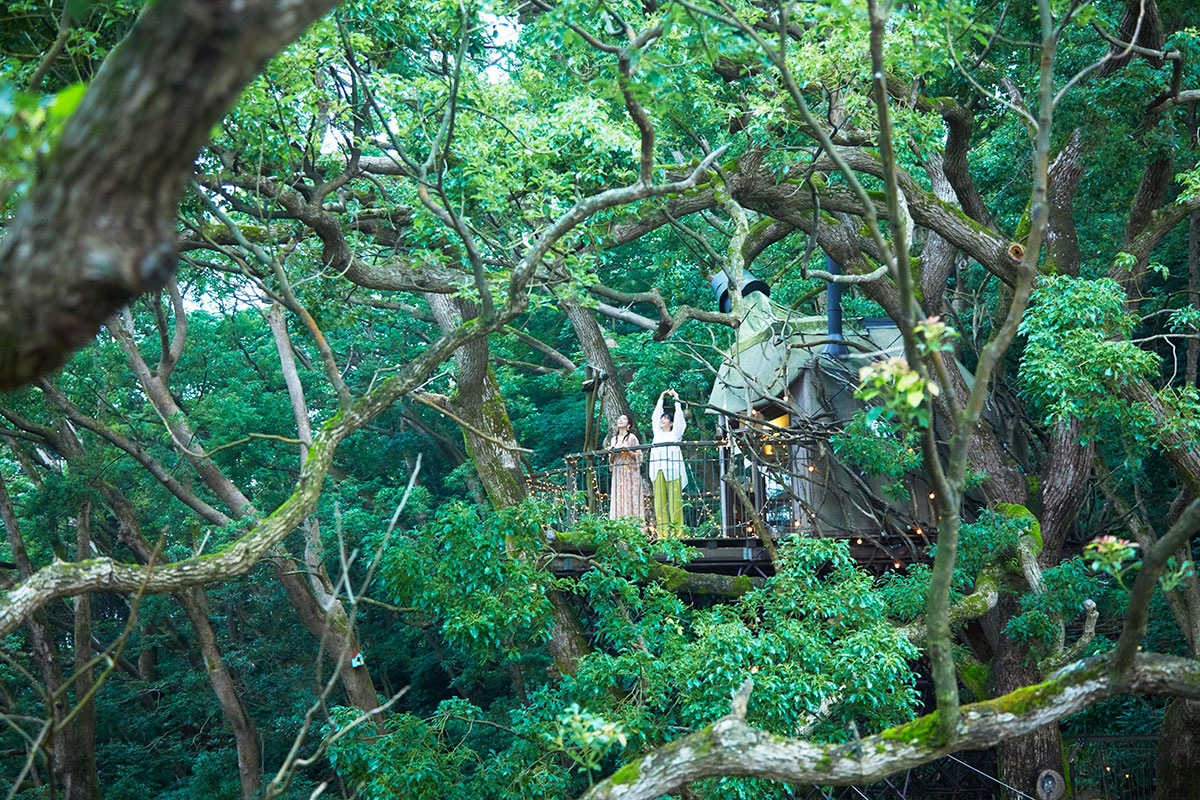 森の中のツリーハウスの写真