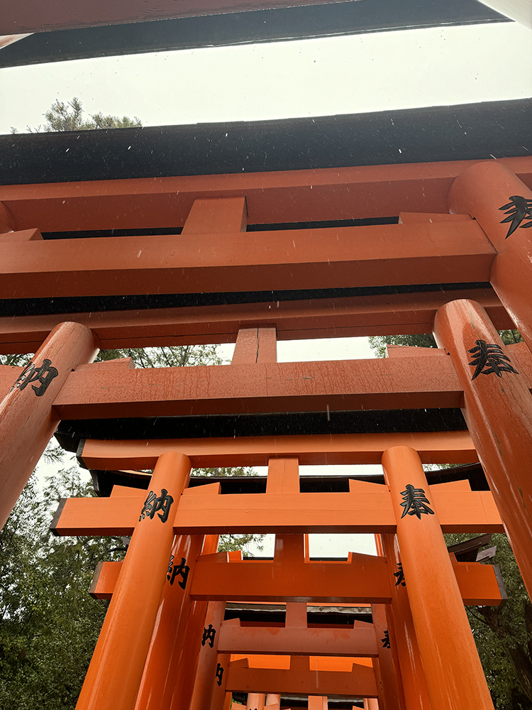 伏見稲荷神社の鳥居