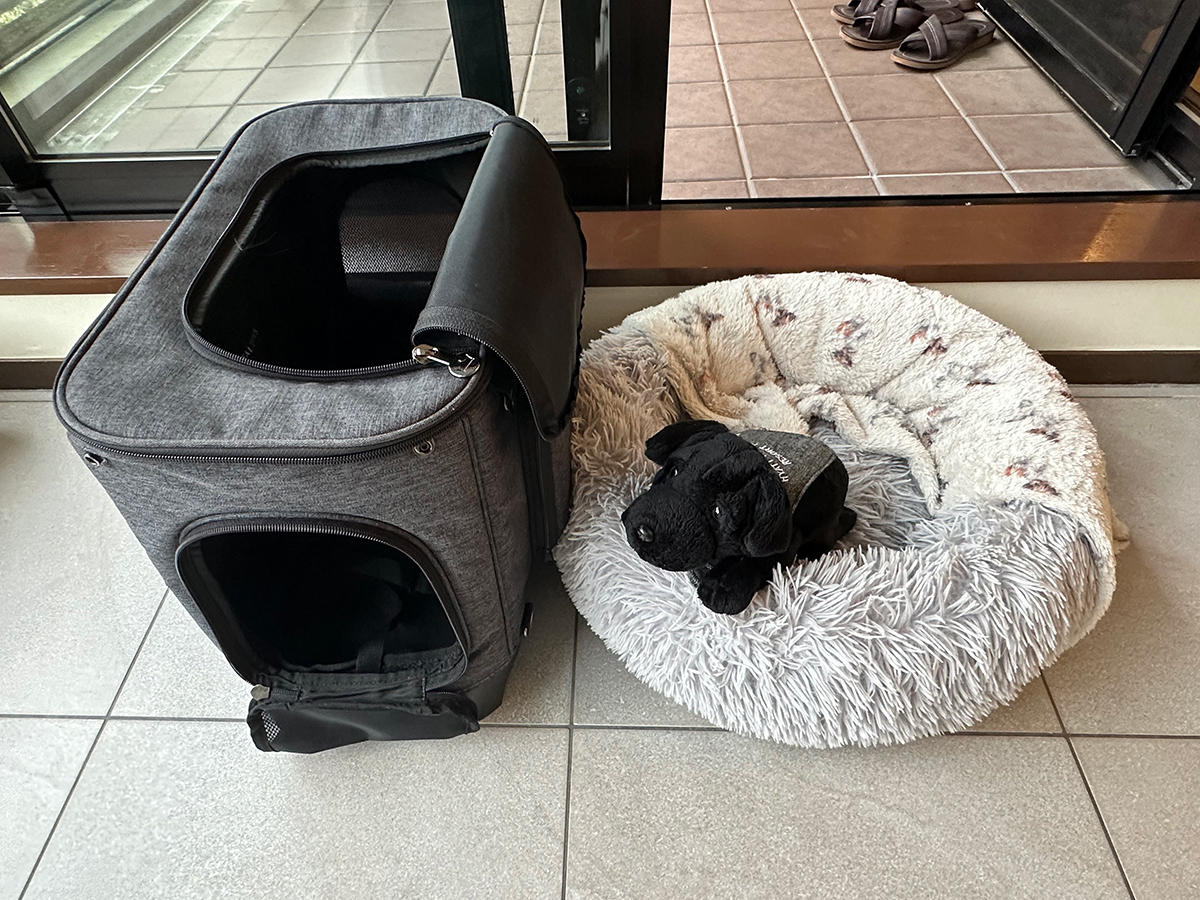犬用ベッドとキャリーバッグ