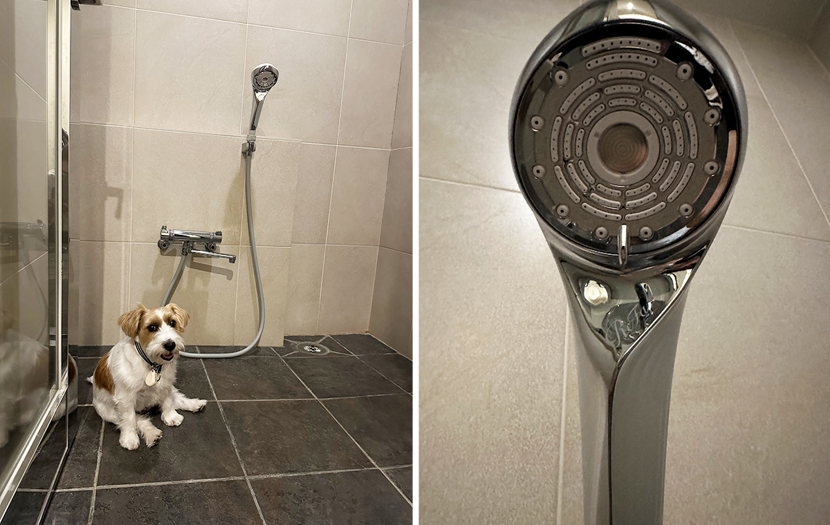 バスルームの愛犬とシャワーヘッド
