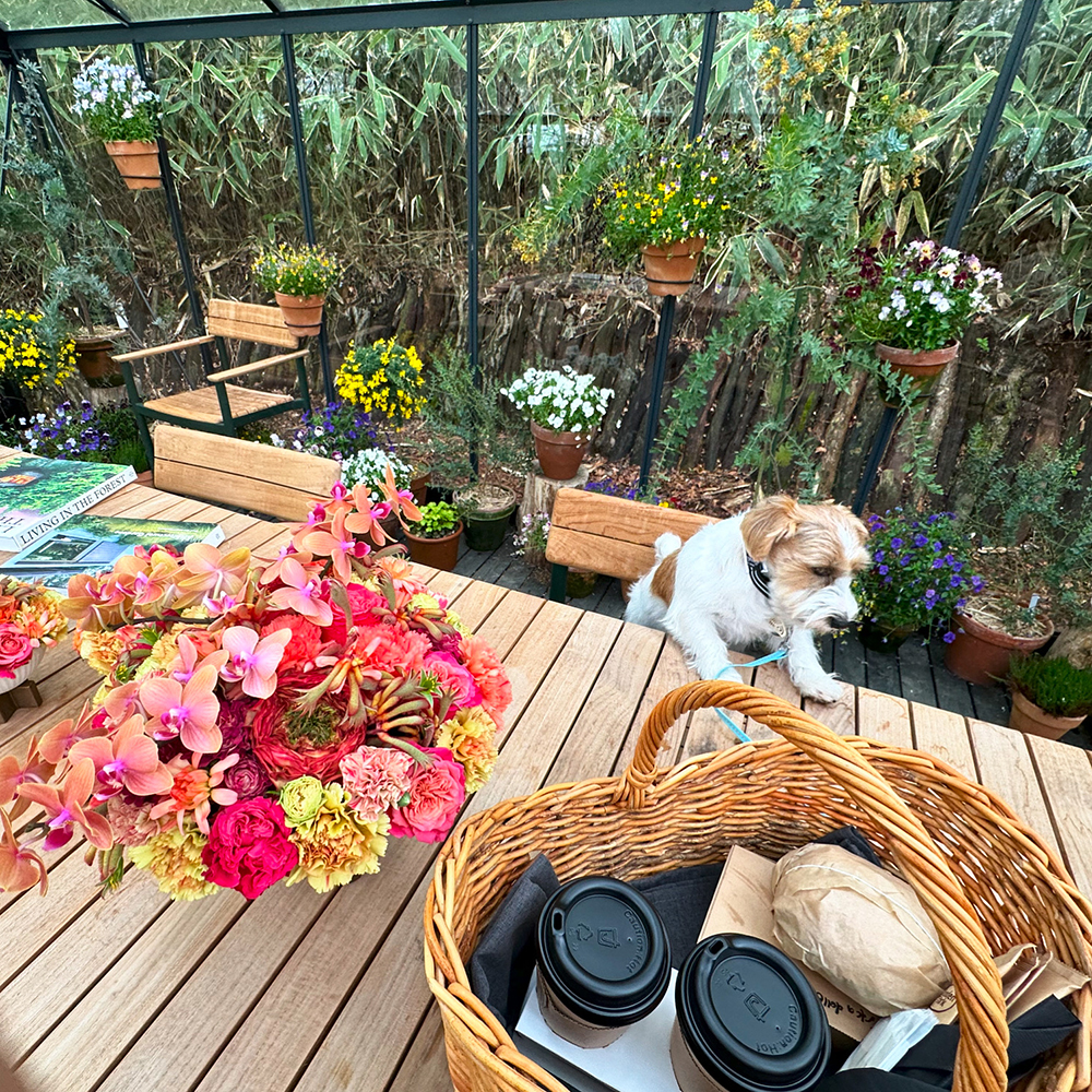 ガーデン内のテーブルと愛犬