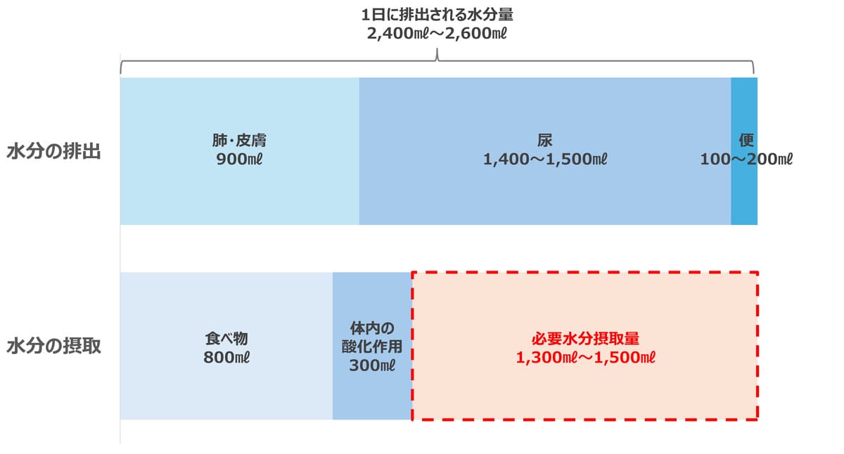 WACOMSの「ミネラル勉強会」より　1日に必要な水分量