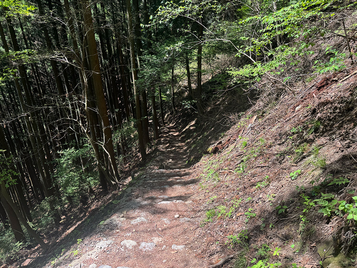 御岳山　山道