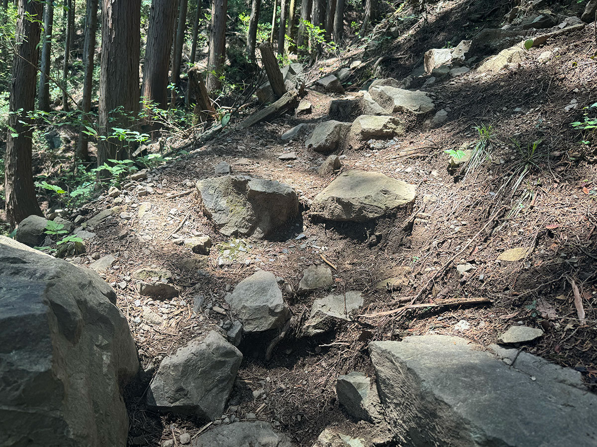 御岳山　山道