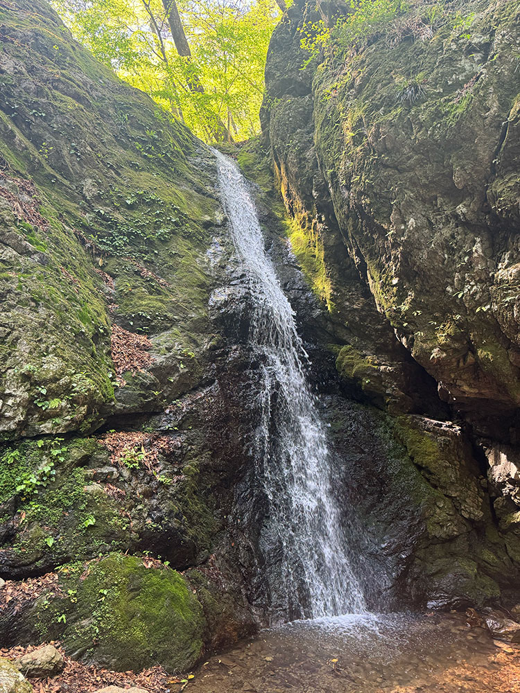 御岳山　綾広の滝